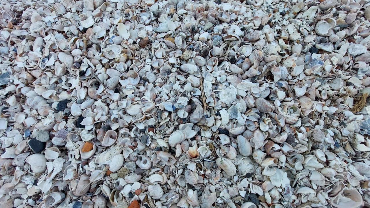 Vakantiehuis Jade Bruinisse Zewnętrze zdjęcie